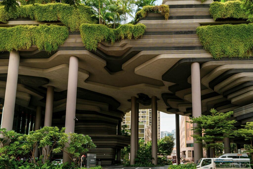 pexels realcereal 15480413 1